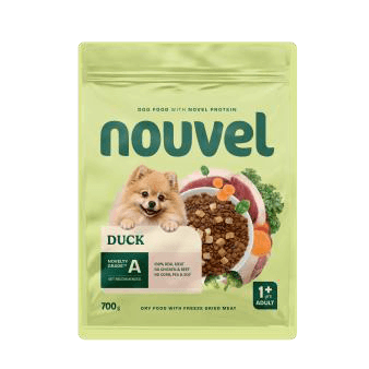 Nouvel Duck
